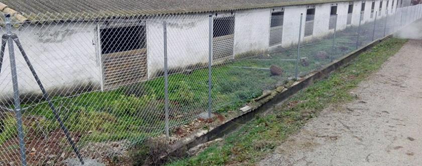 Cercado de Simple Torsión en Granja Porcina en Gurrea de Gallego (Zaragoza)